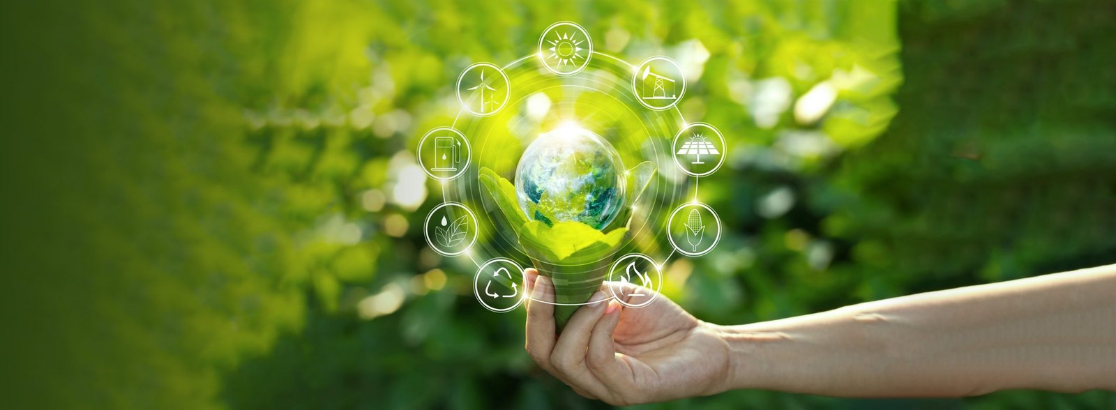 Dedicated to Environmental Stewardship